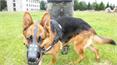 Klub kepek 2014- 0965